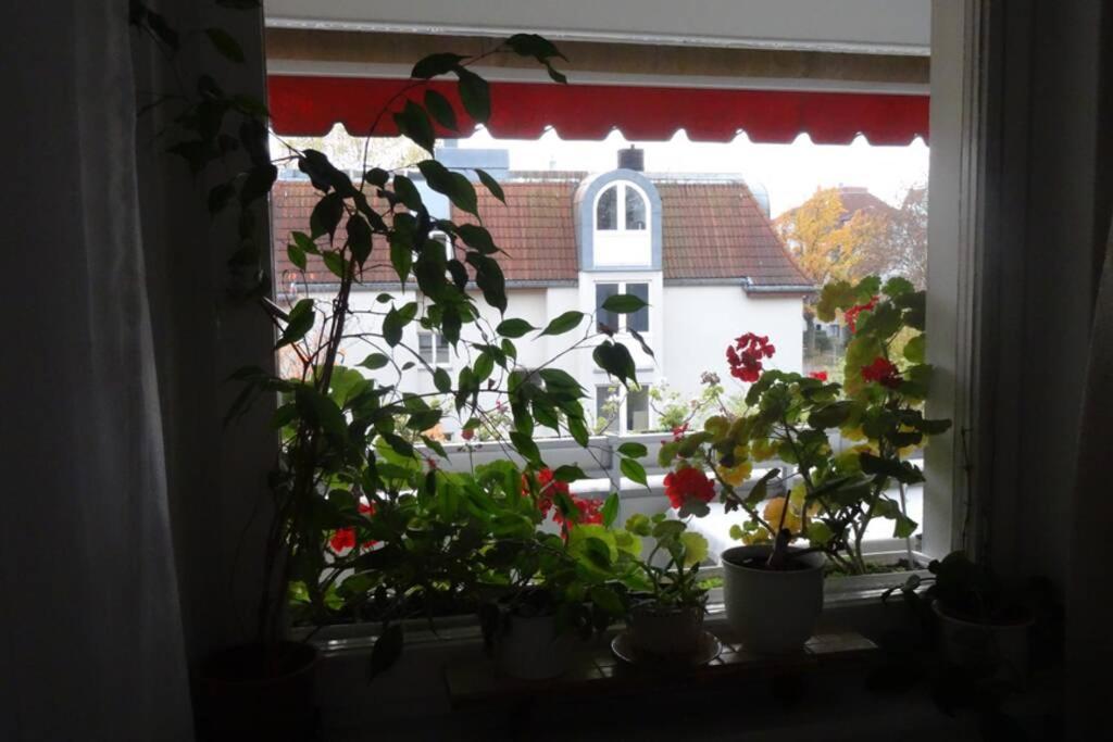 Schoene, Ruhige Wohnung In Berlin-Steglitz Dış mekan fotoğraf